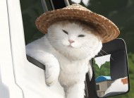 麥