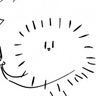 DN