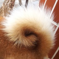 雪莉