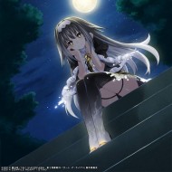 夜 羽蝶