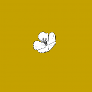 Gyaki