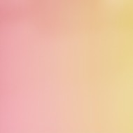 紙箱