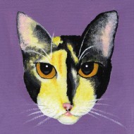 kiaki