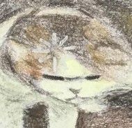 伊禮
