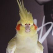Lalla
