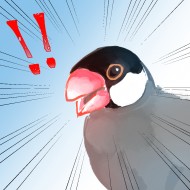 白目鰻