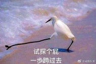 玥玥