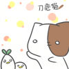 刀疤貓