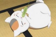 白紙