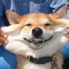 透明
