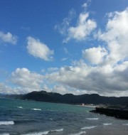 天海璁