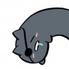 猫羽