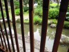 匯艸