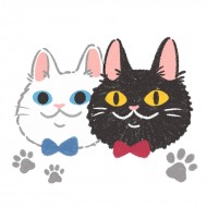 meow_nightcat