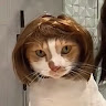 翊楊