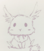 月桂兔