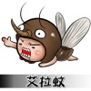 艾拉蚊