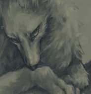 Lupo