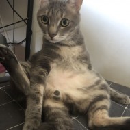 ろ呂Leu
