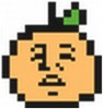 紫呆