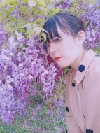 櫻華