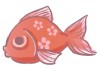 熊熊子