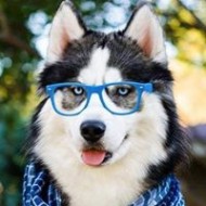 王隨便