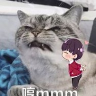 汌