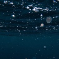 氣泡水