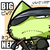 zks999