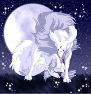 白狼