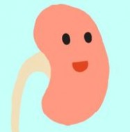 腎絲球
