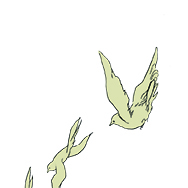 鸚鵡洲