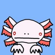 十二指腸