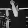 g:ceVuwCIG2oRO