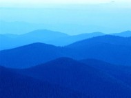 陳可可