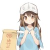 風音