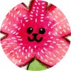 SHINI