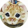 小花貓
