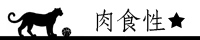 小黑豹