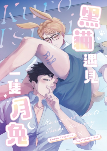 黑貓遇見一隻月兔 封面圖