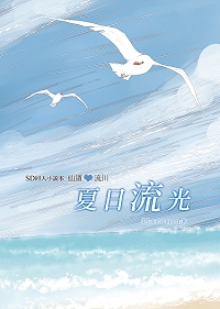 SD 灌籃高手小說本《夏日流光》（仙流） 封面圖