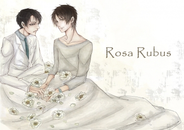Rosa Rubus