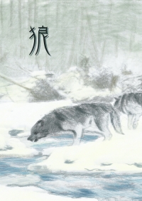 狼