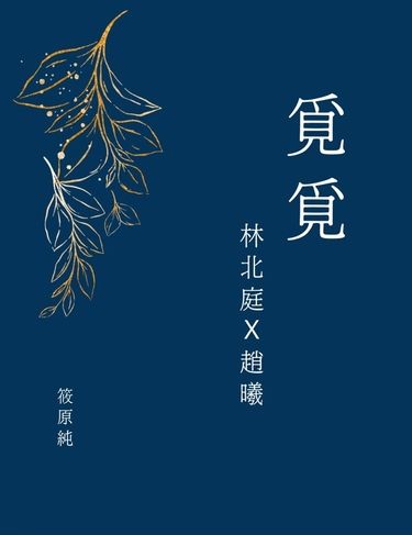 覓覓 封面圖