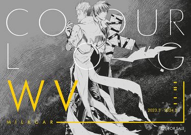 WV COLOUR LOG