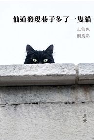 《仙道發現巷子多了一隻貓》【灌籃高手】仙流小說本