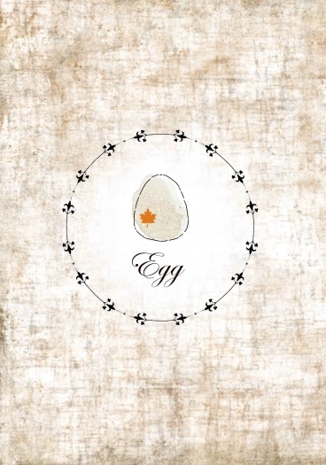 Egg 封面圖