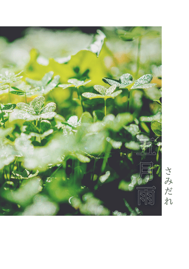 五月雨 封面圖