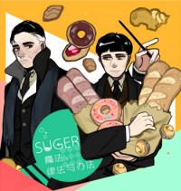 《SUGER：魔法，律法與辦法》